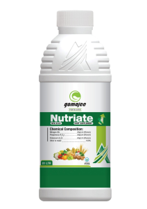 Atlanta Group Pakistan-farm