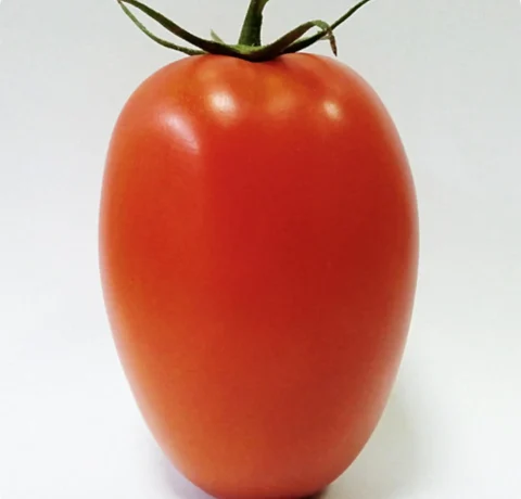 Atlanta Group Pakistan-farm