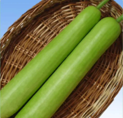 Atlanta Group Pakistan-farm