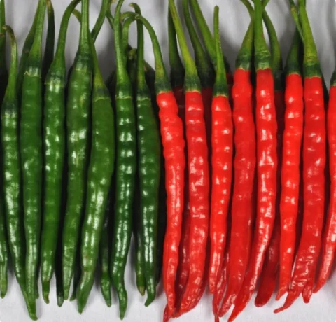 Atlanta Group Pakistan-farm