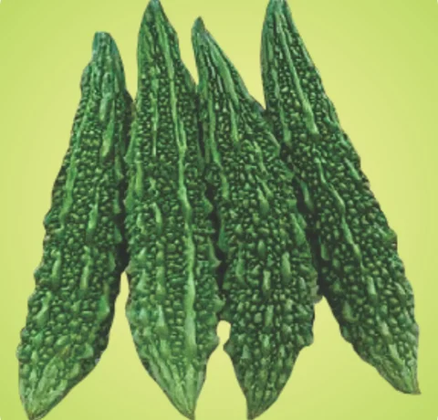 Atlanta Group Pakistan-farm