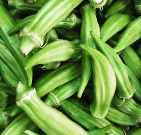 Atlanta Group Pakistan-farm