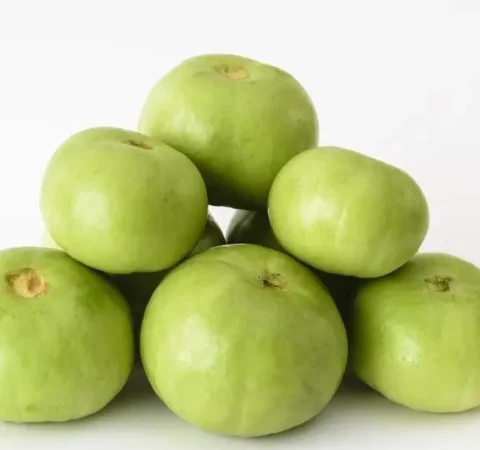 Atlanta Group Pakistan-farm