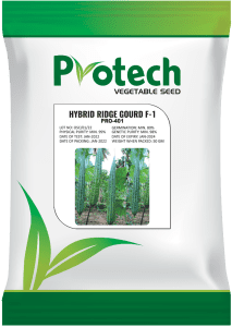 Atlanta Group Pakistan-farm