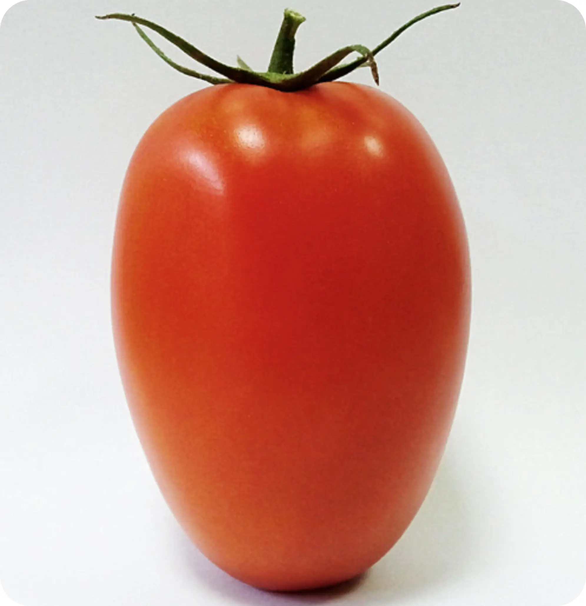 Atlanta Group Pakistan-farm