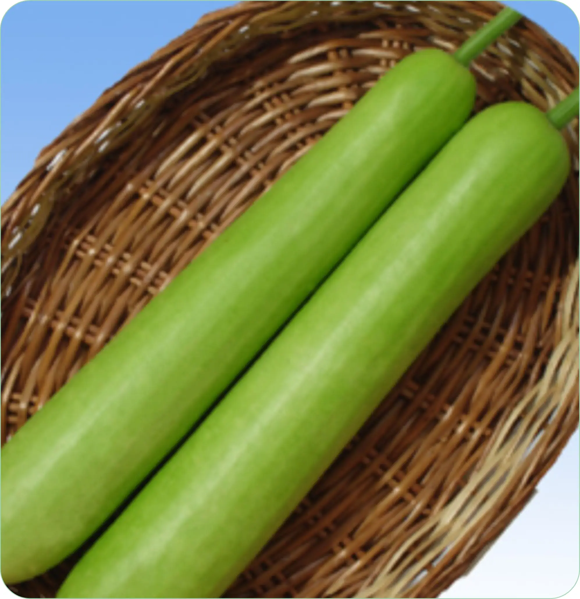 Atlanta Group Pakistan-farm