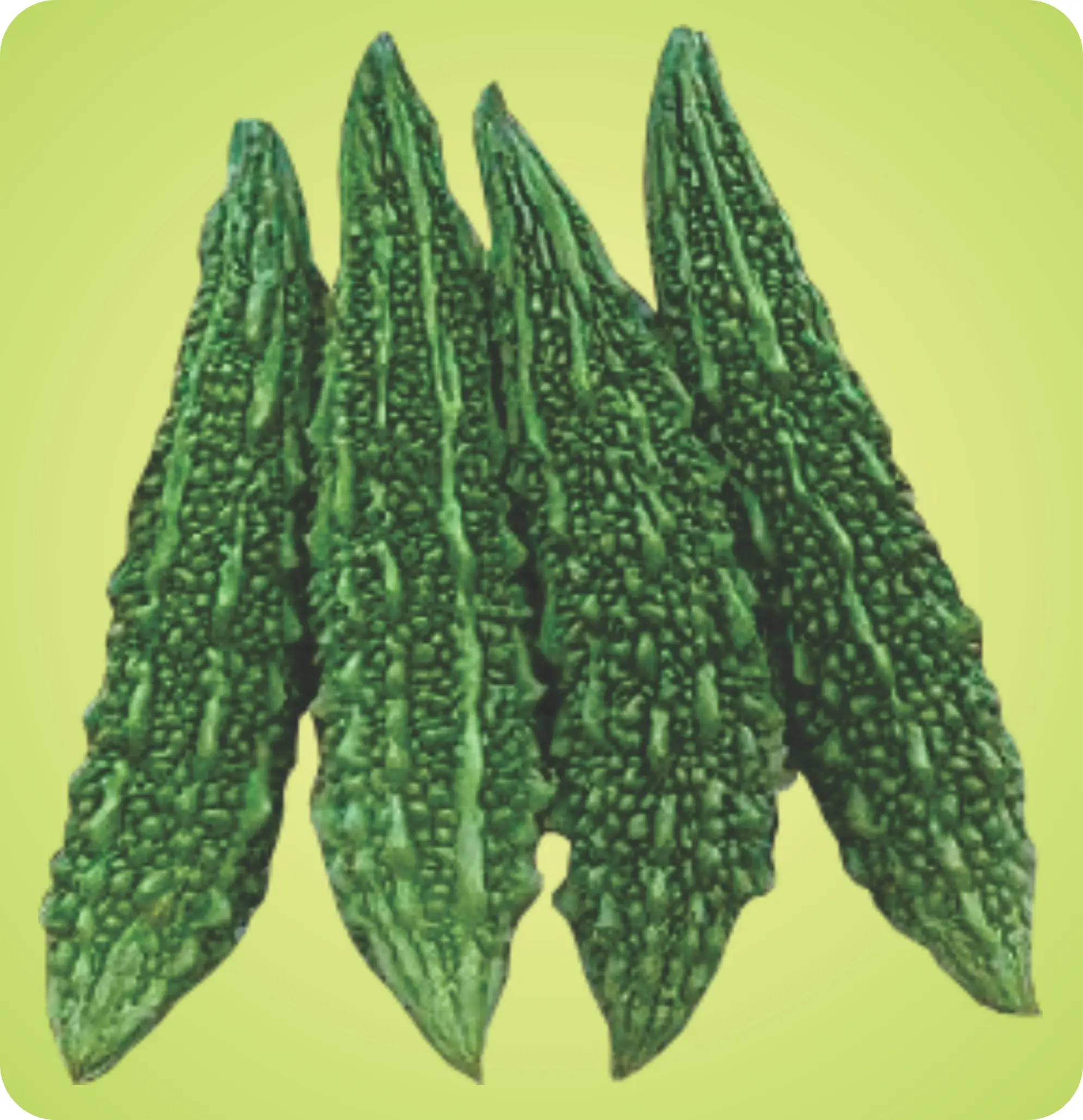 Atlanta Group Pakistan-farm