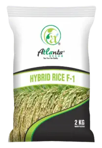 Atlanta Group Pakistan-farm