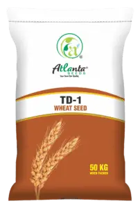 Atlanta Group Pakistan-farm