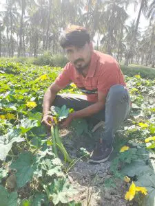 Atlanta Group Pakistan-farm