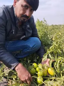 Atlanta Group Pakistan-farm