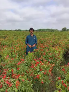 Atlanta Group Pakistan-farm