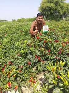Atlanta Group Pakistan-farm