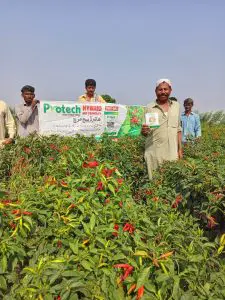 Atlanta Group Pakistan-farm