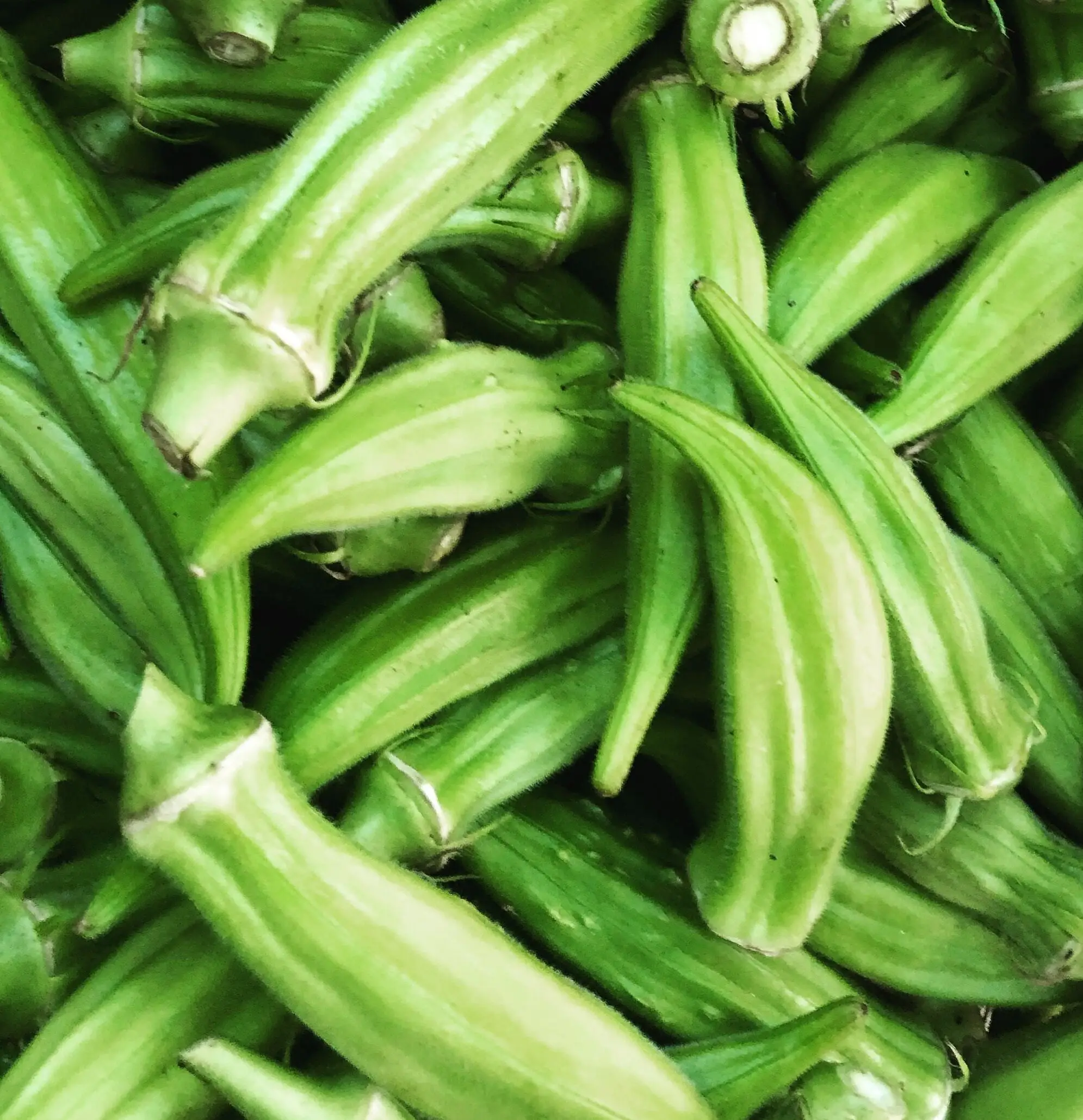 Atlanta Group Pakistan-farm