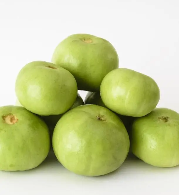 Atlanta Group Pakistan-farm